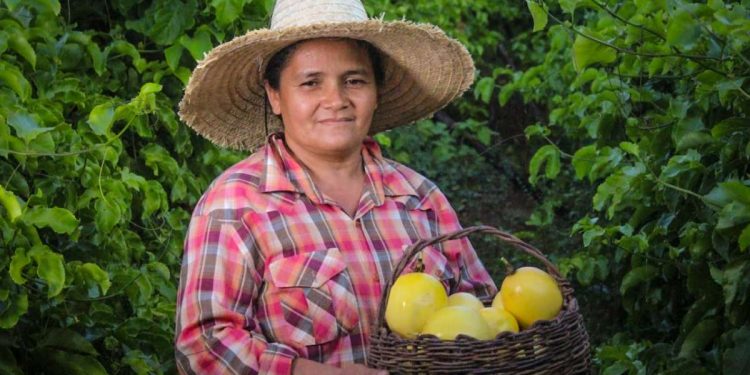 Agricultores de 113 cidades têm até dia 20 para pagar boleto de adesão ao Garantia Safra