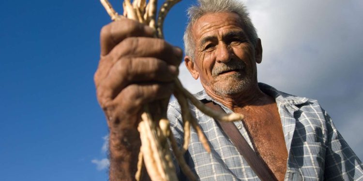 Garantia Safra é pago para mais 22 mil agricultores do Ceará em abril