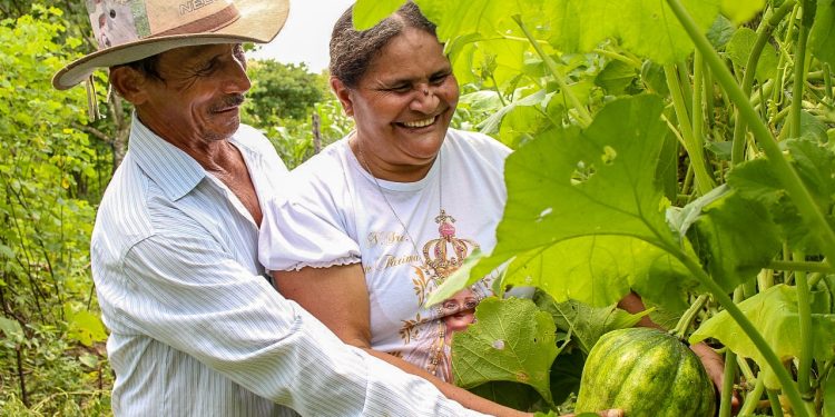 Ceará terá investimento de R$ 251 milhões para agricultura familiar por meio do Programa Sertão Vivo
