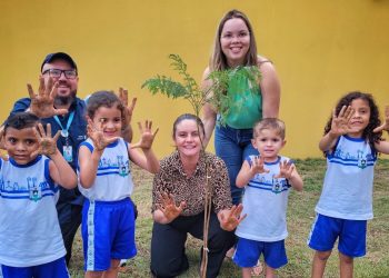Limoeiro do Norte lança Programa “Arborize Já” para ampliar áreas verdes e sustentabilidade
