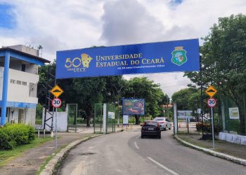 Pesquisa da Uece busca adaptar criação de cabras e ovelhas às mudanças climáticas