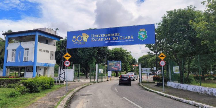 Pesquisa da Uece busca adaptar criação de cabras e ovelhas às mudanças climáticas